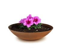 matches21 Pot de fleurs résistant aux intempéries pour l'extérieur - Grande coupe décorative en aspect métal rouillé comme pot de fleurs - Plat bac de jardin de 28 cm pour fleurs, bonsaï ou décoration