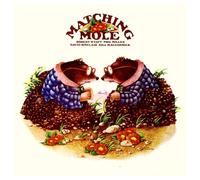 Matching Mole Expanded Édition