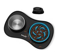 MateeyLife Set de Gamelle Chien 3 en 1, Gamelle Anti Glouton et Eau en Acier Inoxydable avec Tapis Anti-Dérapant en Silicone, Bols pour Chats et Chiots pour Races Petites, Moyennes et Grandes