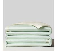 Mateju Couette Ete Q-Max>0,5 en Microfibre, Rafraichissante Couverture Fraîche Edredon, Couette sans Housse Douce et Confortable Légère et Respirante Cooling Blanket (Vert Clair,150X200cm)