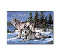 Mateju Tapis Chambre Moderne 3D Loup, Antidérapants Absorbant Flanelle Tapis de Sol de Bain, Salle Carpettes de Paillasson, pour Salon, Couloir, Cuisine Décoration (40x60cm,forêt)