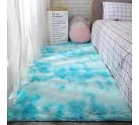 Mateju Tapis Salon, Tapis de Chambre, Tapis Doux en Peluche Moelleux Salon Moderne, Douillet Antidérapant Descente de Lit pour Salon, Chevet, Filles Crèche (80x160cm,Aqua)
