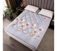 Matelas de lit, futon, futon, améliore le confort du sommeil, matelas futon doux, matelas futon, simple, peut être utilisé pendant une longue période, basique (couleur 6, 150 x 200 cm)