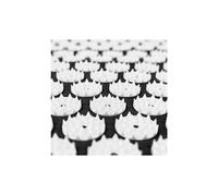 Matelas de relaxation, kit d'acupression avec tapis et coussin, noir, avec sac et coussin, standards/certifications: rohs