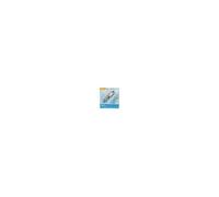 Matelas flottant gonflable Botanical coussin intégré 1,70 m PVC 100 kg Multicolore
