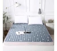 Matelas futon de style japonais - Tapis de couchage portable en coton fin et pliable pour une sieste relaxante, chambre d'amis, dortoir, voyage, camping (couleur G, 100 x 190 cm)