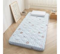 Matelas futon Japonais, 5 cm d'épaisseur, 80x190cm, Double, Ferme, Mousse Haute densité, soulagement de la Pression, soulagement des douleurs dorsales, Solutions(CC,100x200cm)