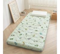 Matelas futon Japonais, 5 cm d'épaisseur, 80x190cm, Double, Ferme, Mousse Haute densité, soulagement de la Pression, soulagement des douleurs dorsales, Solutions(DD,80x190cm)