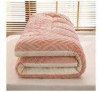 Matelas futon japonais double face en velours épais sculpté imitation cachemire pliable pour dortoir, 100 x 200 cm