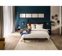Matelas moelleux 140 x 190 cm - Bultex matelas rise up