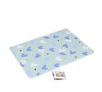 Matelas pour RèGles Grande alèse Lavable for Incontinence urinaire chez Les Adultes et Personnes âgées, protège-draps menstruels for Femmes pour Une Période(Color-05,100x150cm -L)