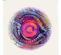 Material - Road to The Western Lands