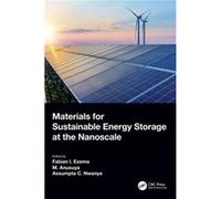 Materials For Sustainable Energy Storage At The Nanoscale