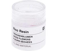 Matériau de Remplissage de Fleurs Séchées pour Résine - Créez des Bijoux Naturels - Rico Design(...) - Multicolore Multicolore G