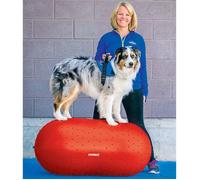 Materiel d'entrainement - materiel agility Fitpaws - IFPKTPRD50 - Traxpeanut Accessoire Education pour Chien 50 cm