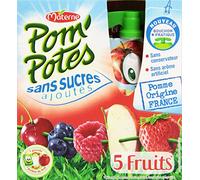 Materne Spécialité de 5 fruits sans sucres ajoutés - Les 4 gourdes de 90g