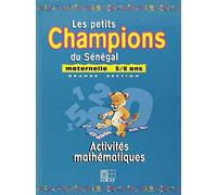 Maternelle 5/6 Ans / Activités Mathématiques
