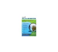 Math Mammoth Grade 3-A Worktext, International Version
