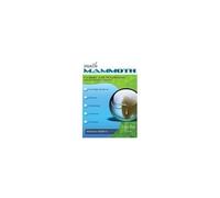 Math Mammoth Grade 3-B Worktext, International Version