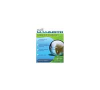 Math Mammoth Grade 8-B Worktext