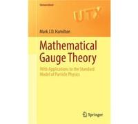 Mathematical Gauge Theory Mark J D Hamilton, (Auteur)