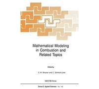 Mathematical Modeling In Combustion And Related Topics