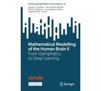 Mathematical Modelling Of The Human Brain Ii