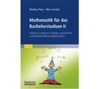 Mathematik für das Bachelorstudium 2 Plaue, Matthias, Scherfner, Mike (Auteur)