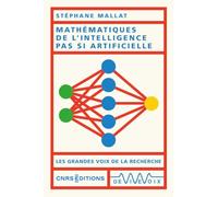 Mathématiques de l'Intelligence pas si Artificielle