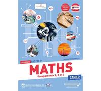 Maths Tle Bac Pro - Cahier D'activités