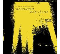 Mathias Schaffhäuser - Hedonism,What Else (Ep)
