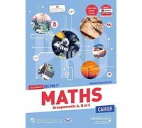 Maths Tle Bac Pro: Cahier d'activités