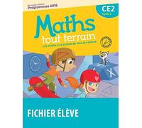 Maths tout terrain CE2