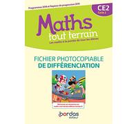 Maths tout terrain CE2: Fichier de différenciation