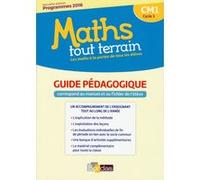 Maths tout terrain CM1 2017 Livre du maître - Manuel et fichier de l'élève Xavier Amouyal (Auteur), Jacques Brun (Auteur), Alfred Errera (Auteur)