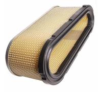 Matijardin - Filtre à air compatible compatible avec Briggs & Stratton 493909, 496894