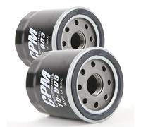 Matijardin - Filtre à huile pour moteur Cub Cadet Gravely compatible avec Kohler compatible avec John Deere. Par 2