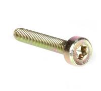 Matijardin - Générique Vis Torx 27 M5 x 30 compatible avec Stihl 046 MS460. Par 10