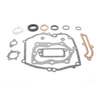 Matijardin - Joint compatible compatible avec Briggs & Stratton Quantum 12 CID