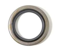 Matijardin - Joint spi pour moteur compatible avec Briggs & Stratton N°299819 et 89660