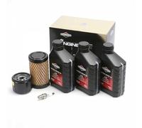 Matijardin - Kit entretien origine pour moteur compatible avec modèles 31, 31R7, 31R8, 31R9 et séries 4 intek I/C OHV