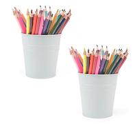 MATIMASU Lot de 2 porte-stylos en métal pour bureau, marqueurs, stylos, petits pots de fleurs en fer blanc, pour plantes grasses