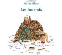Matin Minet Anne Herbauts (Auteur)