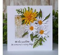 Matrices de découpe en forme de marguerites pour la fabrication de cartes, pochoirs de découpe pour bricolage, scrapbooking, album photo, papier de gaufrage décoratif pour la de cartes avec gabarit