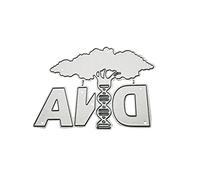 Matrices de découpe en métal ADN pour scrapbooking, album, cartes, gaufrage, décoration artisanale, matrices de découpe en métal