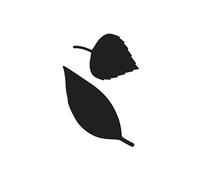 Matrices de découpe - Feuilles