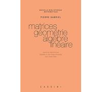 Matrices, géométrie, algèbre linéaire