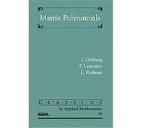 Matrix Polynomials Izrail Gohberg, L. Rodman, Peter Lancaster (Auteur)