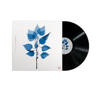 Matt Berninger - Matt Berninger, Neues Album 2025, Get Sunk