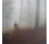 Matt Elliott - Farewell to All we Know (Vinyl) [Import]